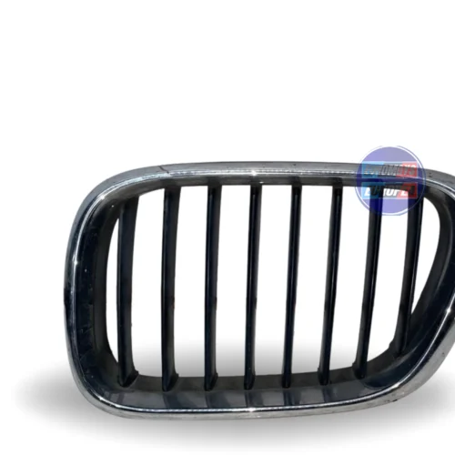 PERSIANA DE CAPO LH  PARA BMW  X5 E53 1999-2003 (6502-07-0095997P)