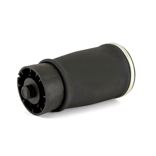 BOLSA AIRE SUSPENSION TRAS R BMW X5 E53