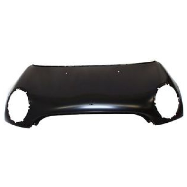 CAPO MINI COOPER 2007-2010