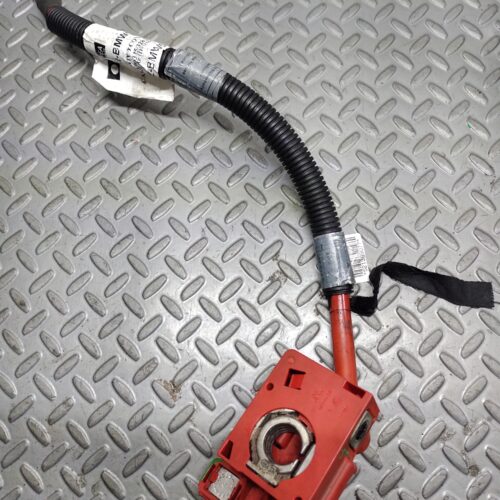 CABLE POSITIVO CON DETONADOR PARA BMW E90 SERIE 3 325 61136982227