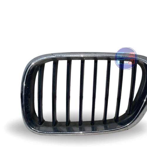 PERSIANA DE CAPO LH  PARA BMW  X5 E53 1999-2003 (6502-07-0095997P)
